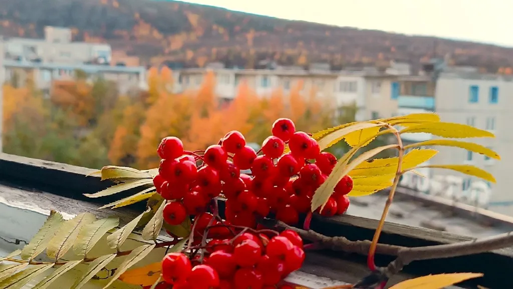 Уютная квартира в тихом районе