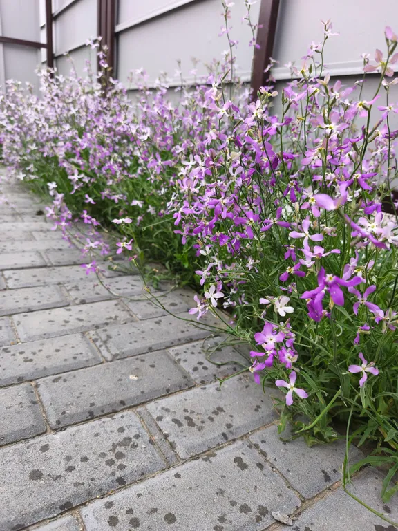 Уютный комфортабельный благоустроенный дом