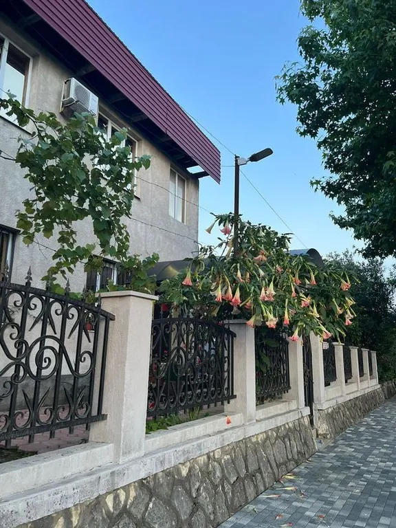 Фиала