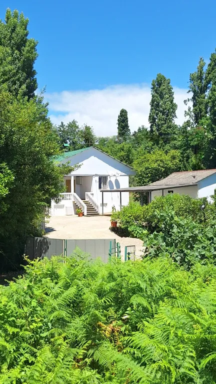 Уютная комната эконом класса с морем напротив