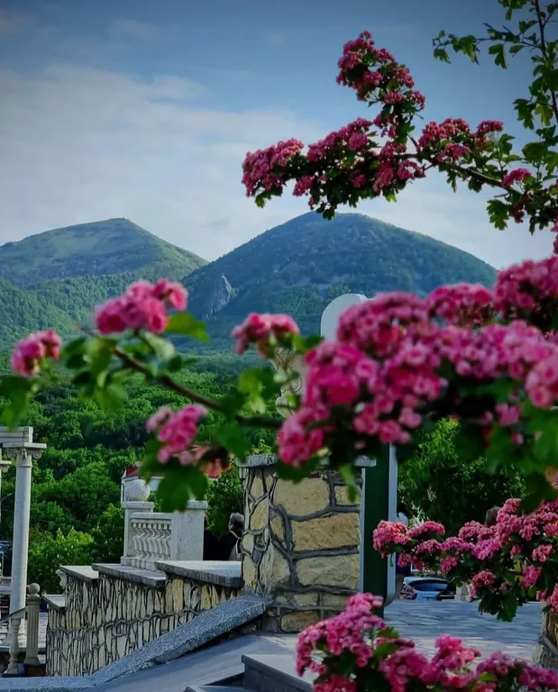 Уютная и комфортная квартира в центре — аренда посуточно в Железноводск