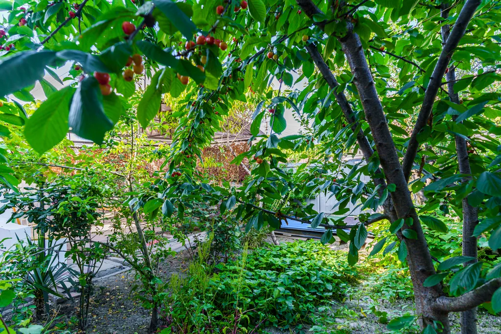 Дом у пляжа