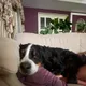 Юрий