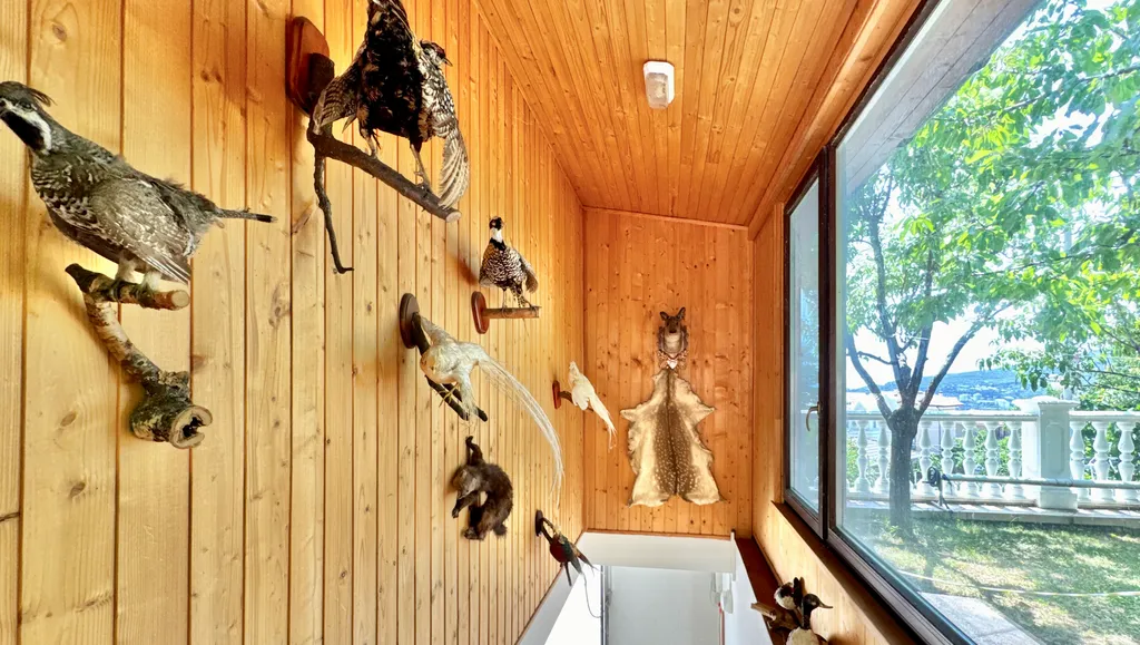 Дом с бассейном в Аутке