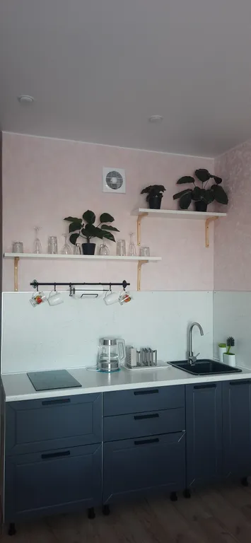 Апартамент с шикарным видом на Волхов