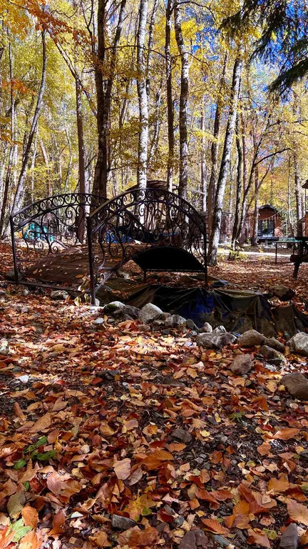 Коттедж Уютный домик с панорамными окнами с видом на лес — Архыз