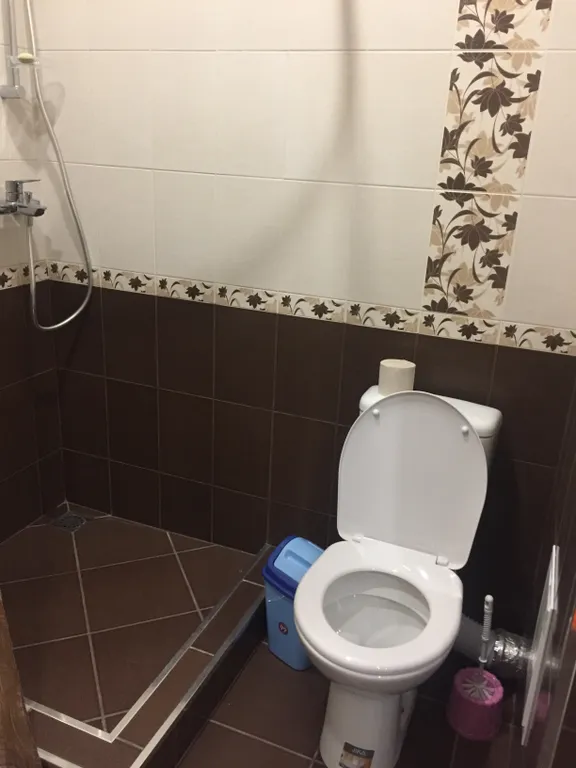 Квартира 1-комнатная Квартира — Сириус