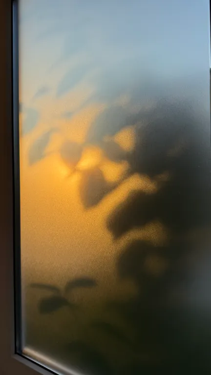 Стильный кролик