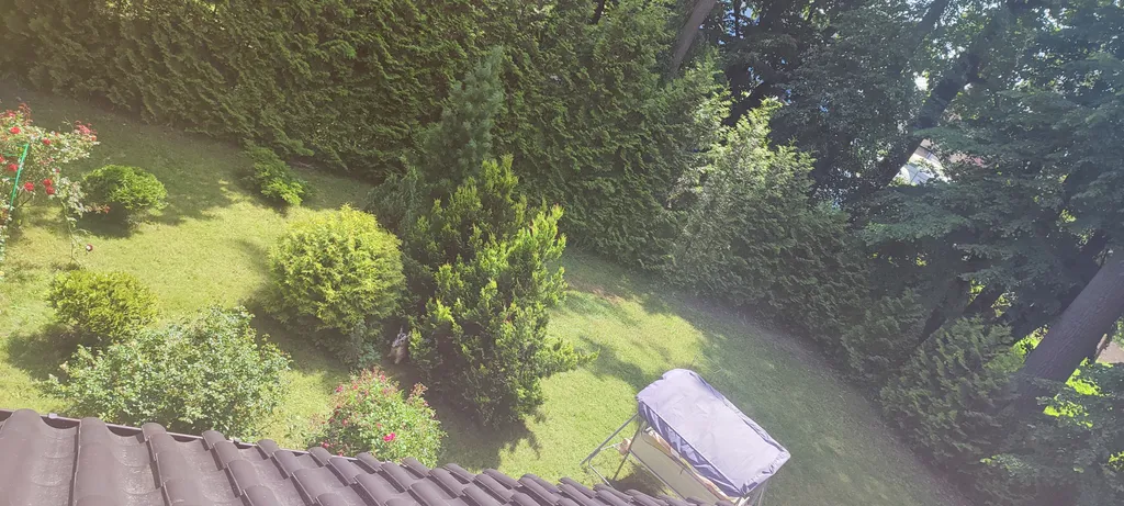 Весь первый уютный этаж с видом на природу