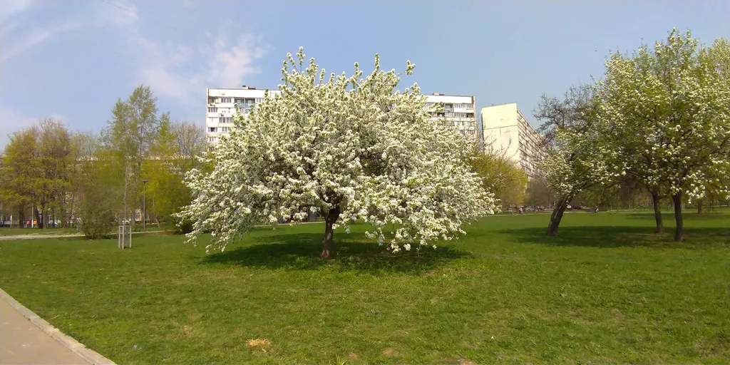 Квартира Квартира возле парка садовники и онкоцентра Блохина — Москва