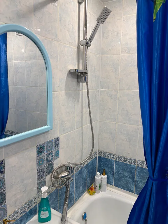 Апартаменты Драная кошка