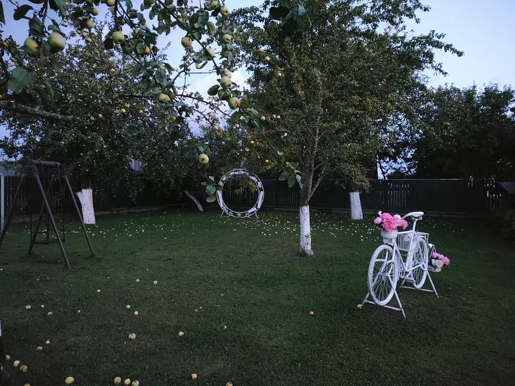 Усадьба с видом на лес