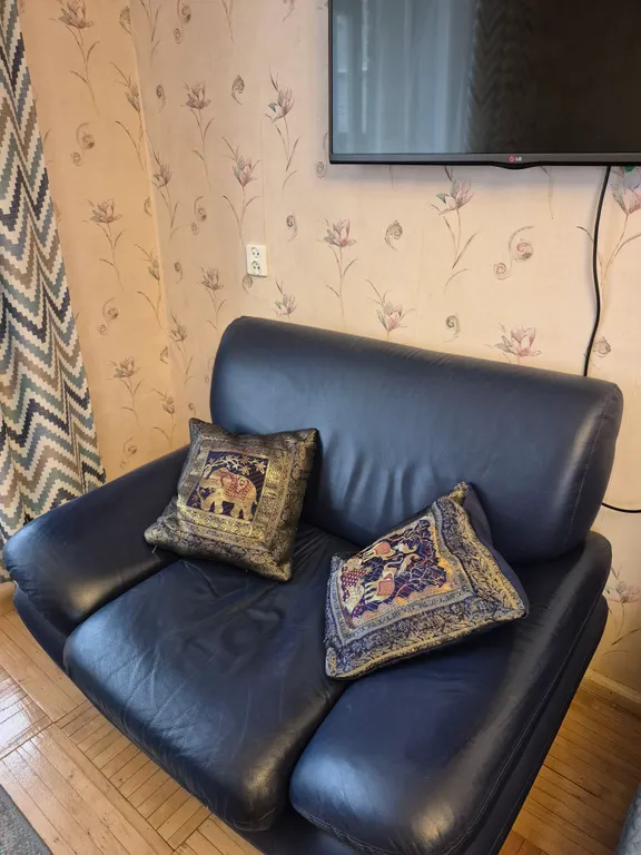 Рыбки-котики