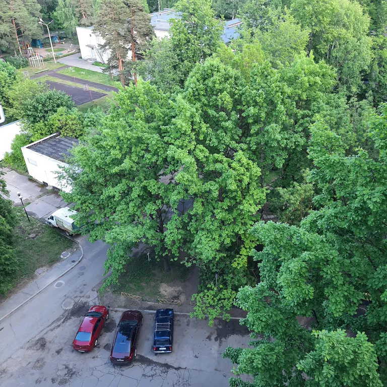 Квартира на набережной