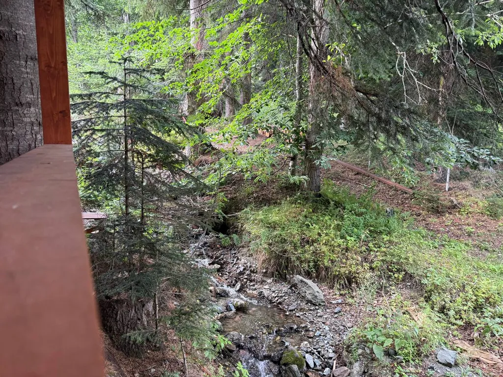 Шале Зарево 2