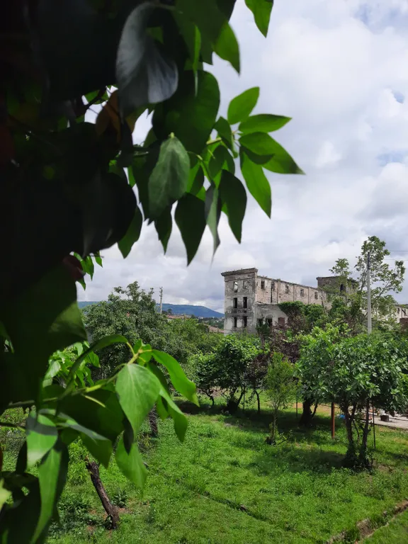 Квартира Комната — аренда посуточно в Сухум