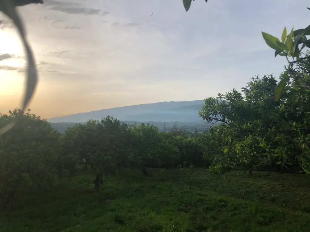 Коттедж Домик в деревне с видом на горы — Сухум