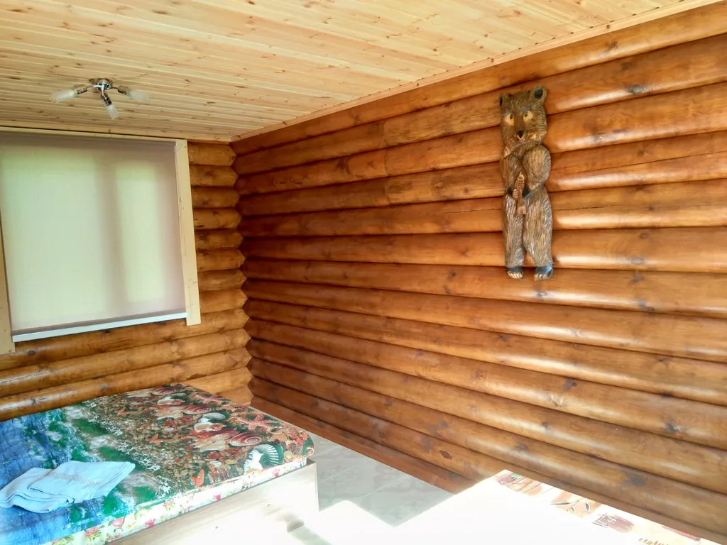 Гостевой дом Озеро и лес