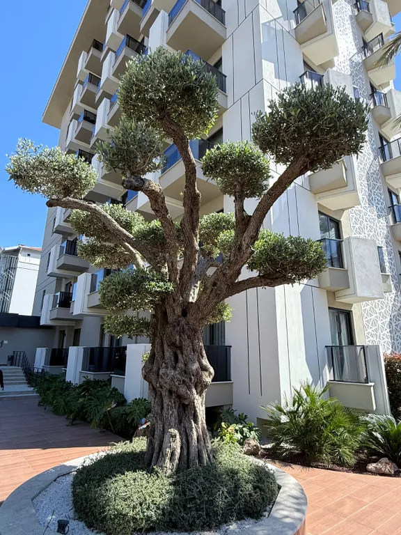 ЖК Best Home Saga 1+1 центр