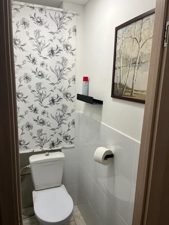 Однокомнатная с кондиционером на Таможне