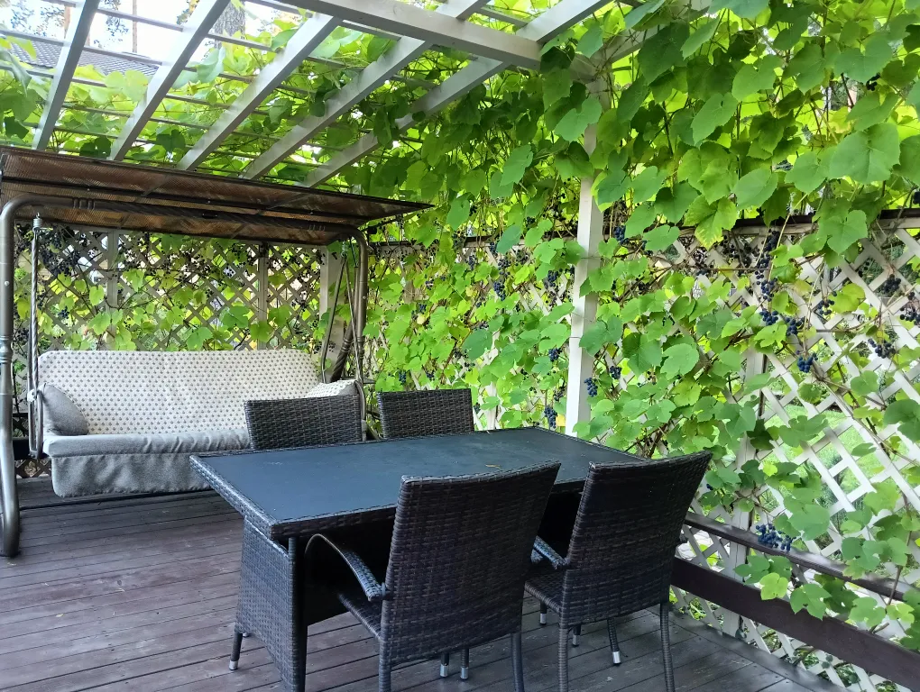 Гостевой домик с банькой и бассейном