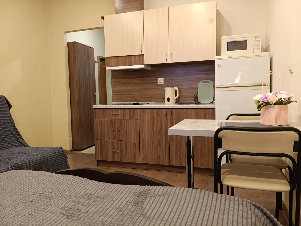 Студия на Австрийской