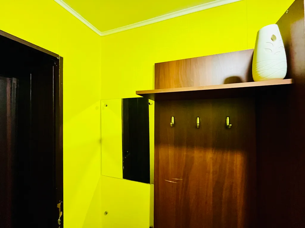 Однокомнатная квартира с тремя раздельными спальными местами