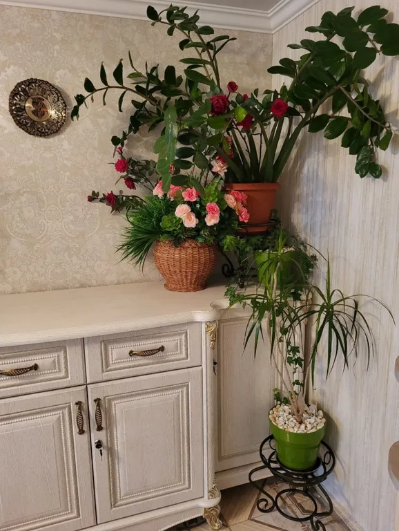 Квартира Квартира в частном доме с отдельным входом — Цемдолина