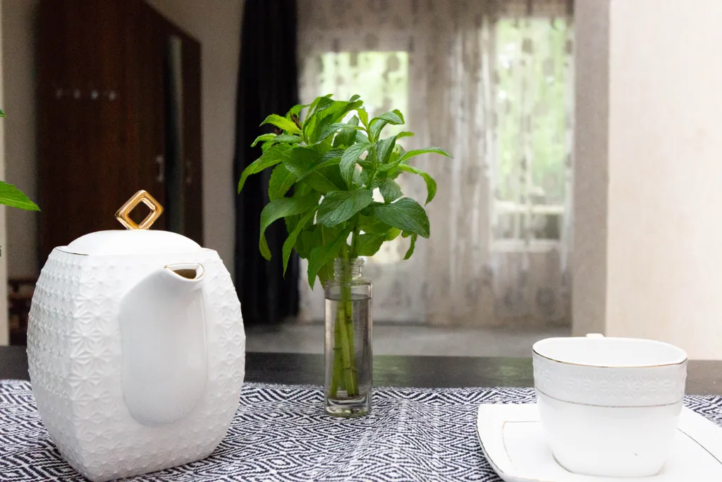 2-этажный дом в лесу в 5 минутах от моря