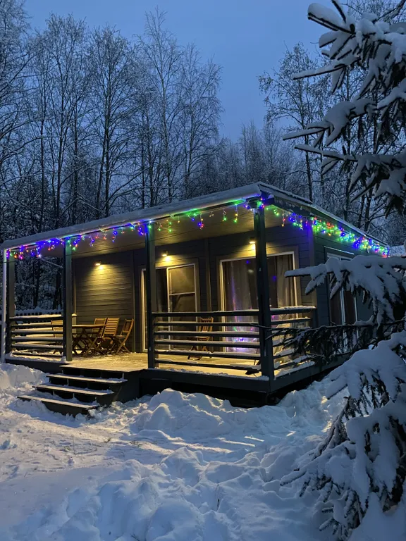 Коттедж Уютный дом для семейного отдыха с баней и детской площадкой — аренда посуточно в Токсово