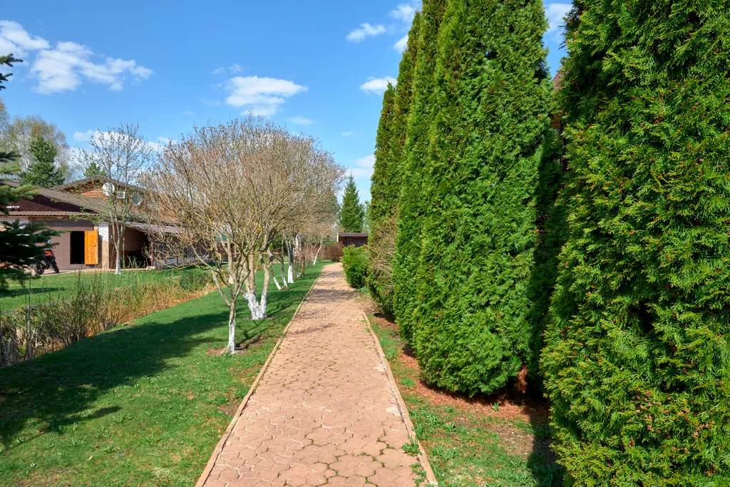 Оригинальный домик для гостей в заповедном месте