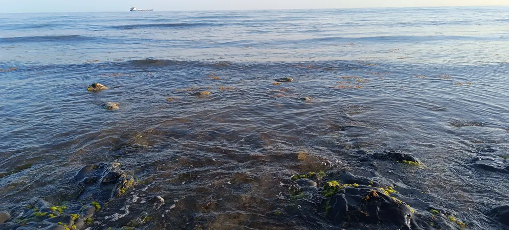 Уютная 2х комнатная квартира рядом с пляжем