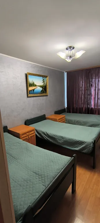 Трёхкомнатная квартира возле Звездного