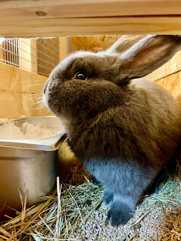 VIP жилье с видом на Байкал 2