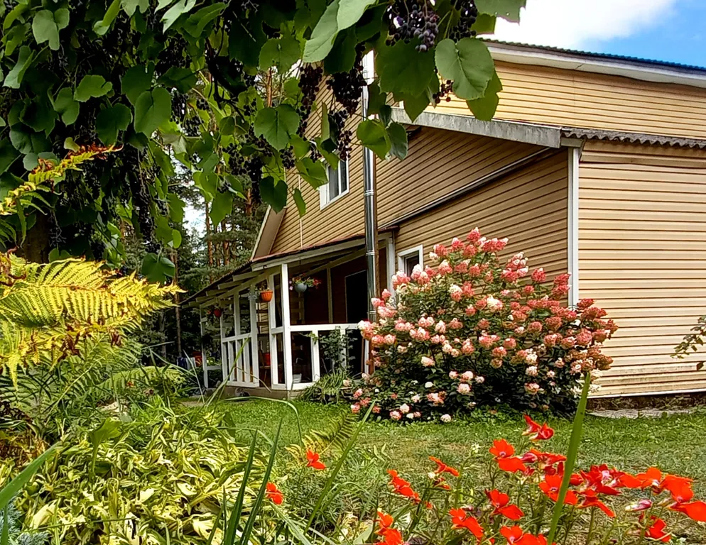 Коттедж Гостевой дом у сосен. — аренда посуточно в Пушкинские Горы