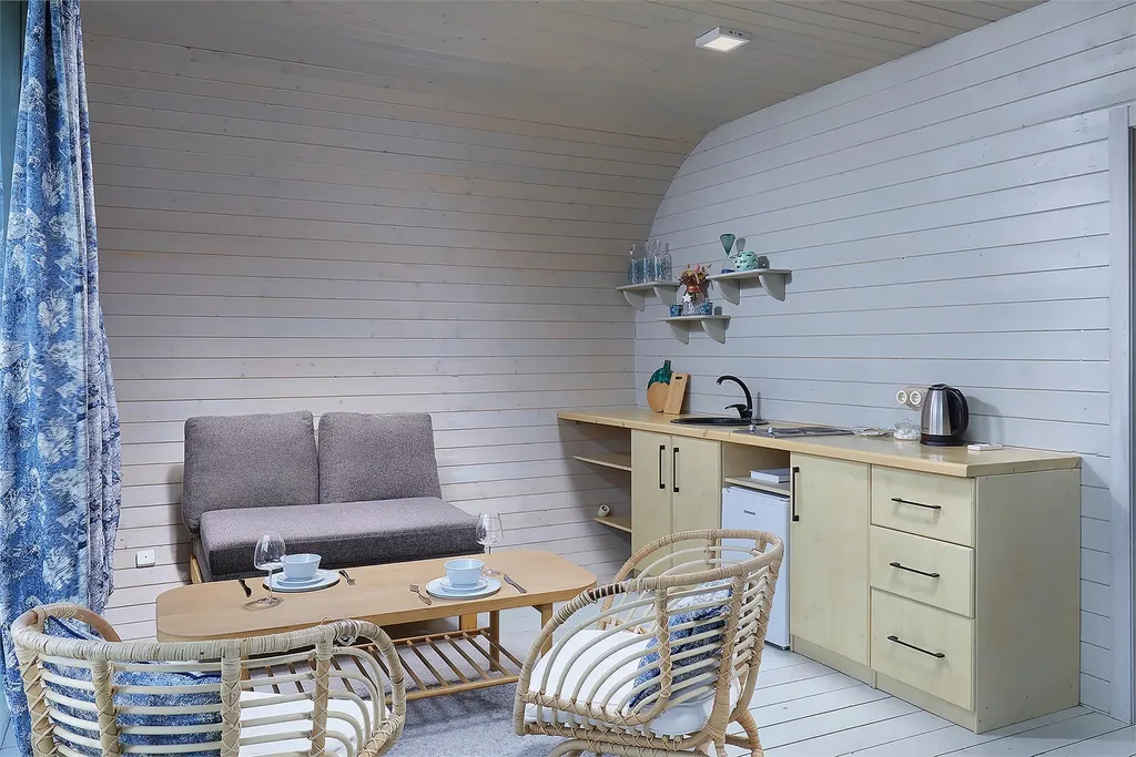 "Орбита" капсула с камином