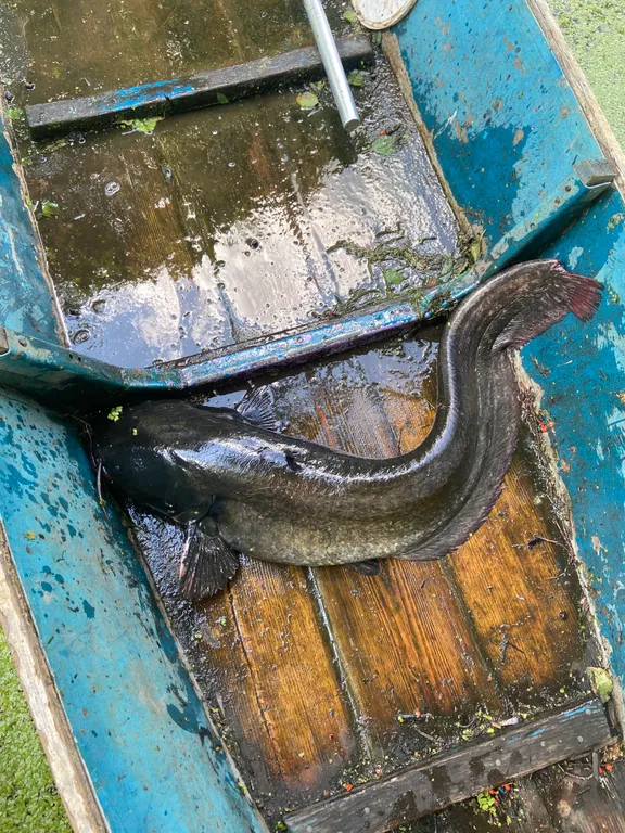 Усадьба На позитиве