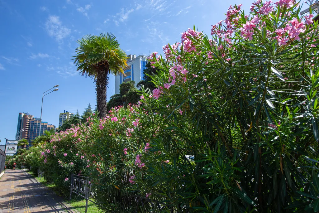 Комфортная квартира недалеко от набережной