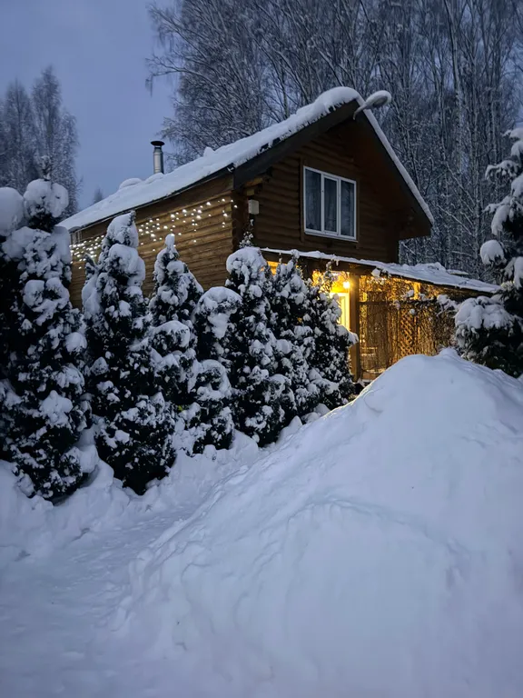 Коттедж Дом на берегу пруда — Бор