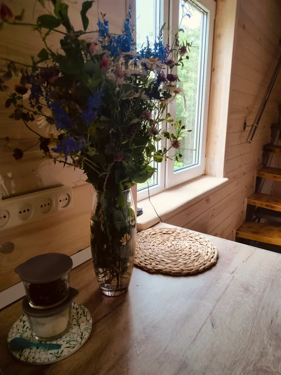 Новый дом  около леса