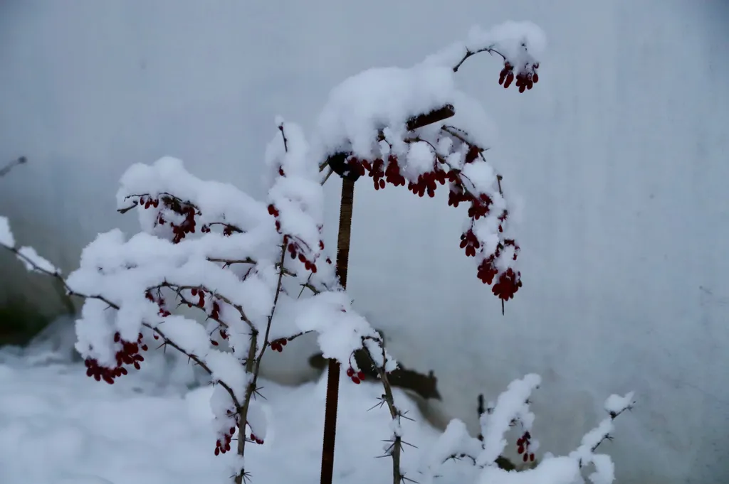 База отдыха Хэйлун Дом №3 Шэньчжоу