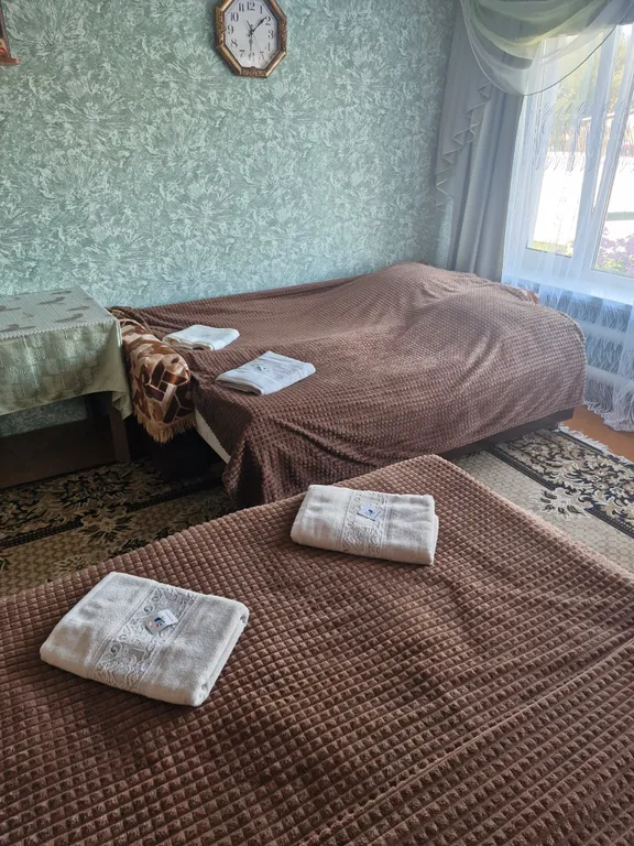 Частный дом в центре села