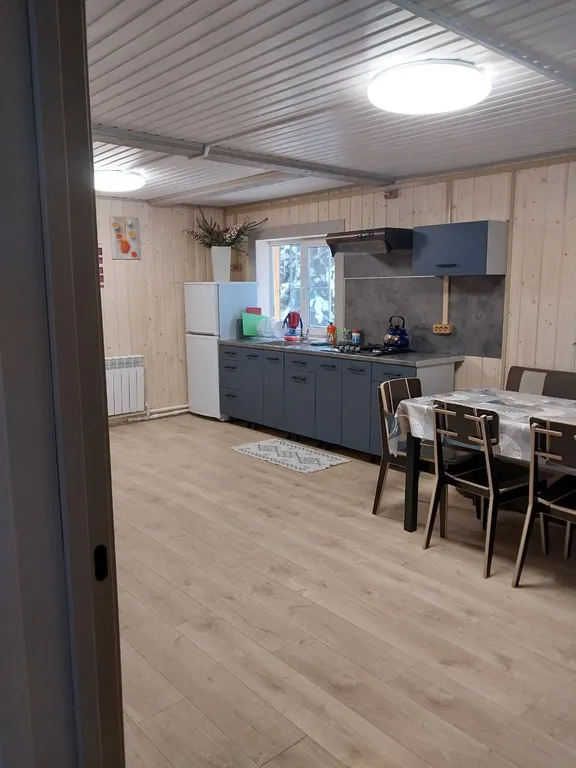 Уютный дом на 1 линии о. Cелигер