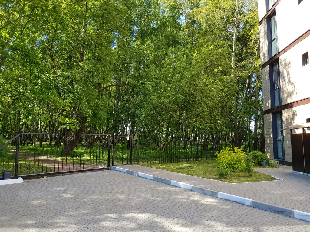 Квартира Апартаменты у Балтийского моря в Светлогорске — Светлогорск