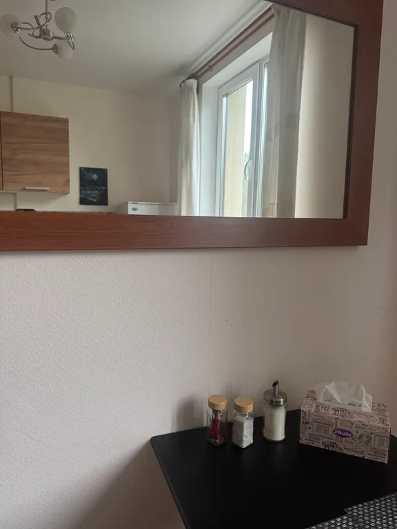 В центре города большая, атмосферная квартира с лужайкой