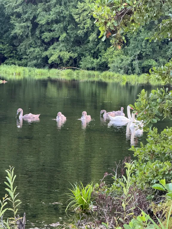 Милый и уютный домик, идеально подходящий для комфортного проживания