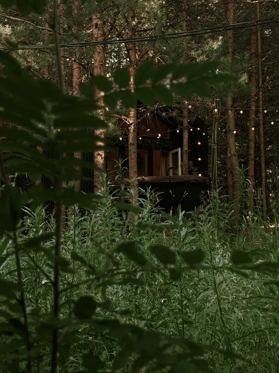 Коттедж Уютный дом в глубине соснового леса — Верхний Услон