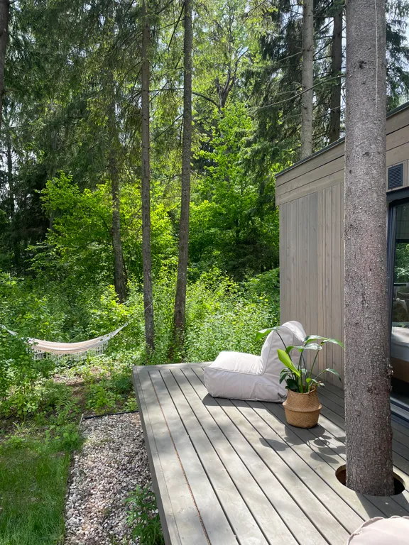 Уютный дом в тишине хвойного леса