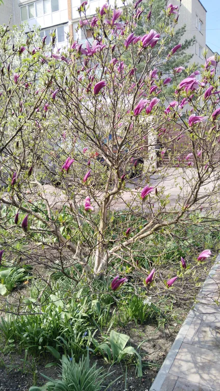 Квартира Квартира Балтика апарт — Зеленоградск