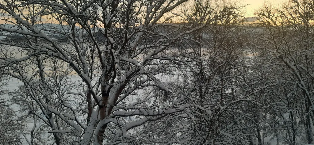 Гостевой уютный дом Соль Севера с баней на берегу залива Ура